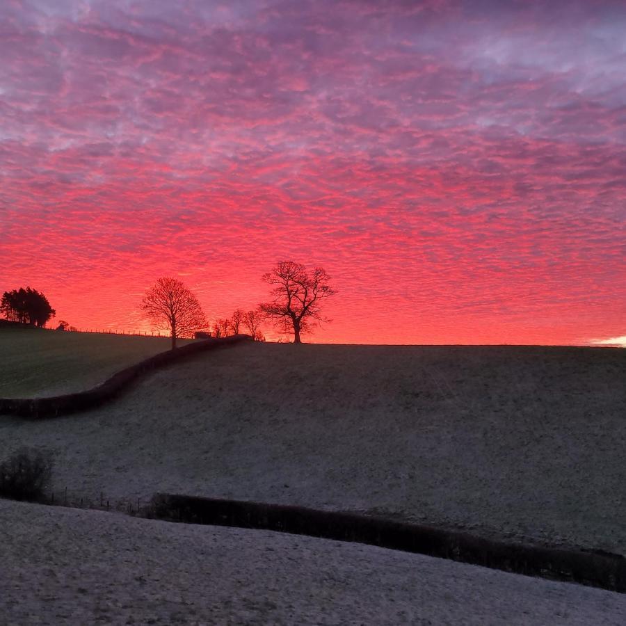 Villa Odli Glamping - Luxury Glamping Pod Welshpool Esterno foto