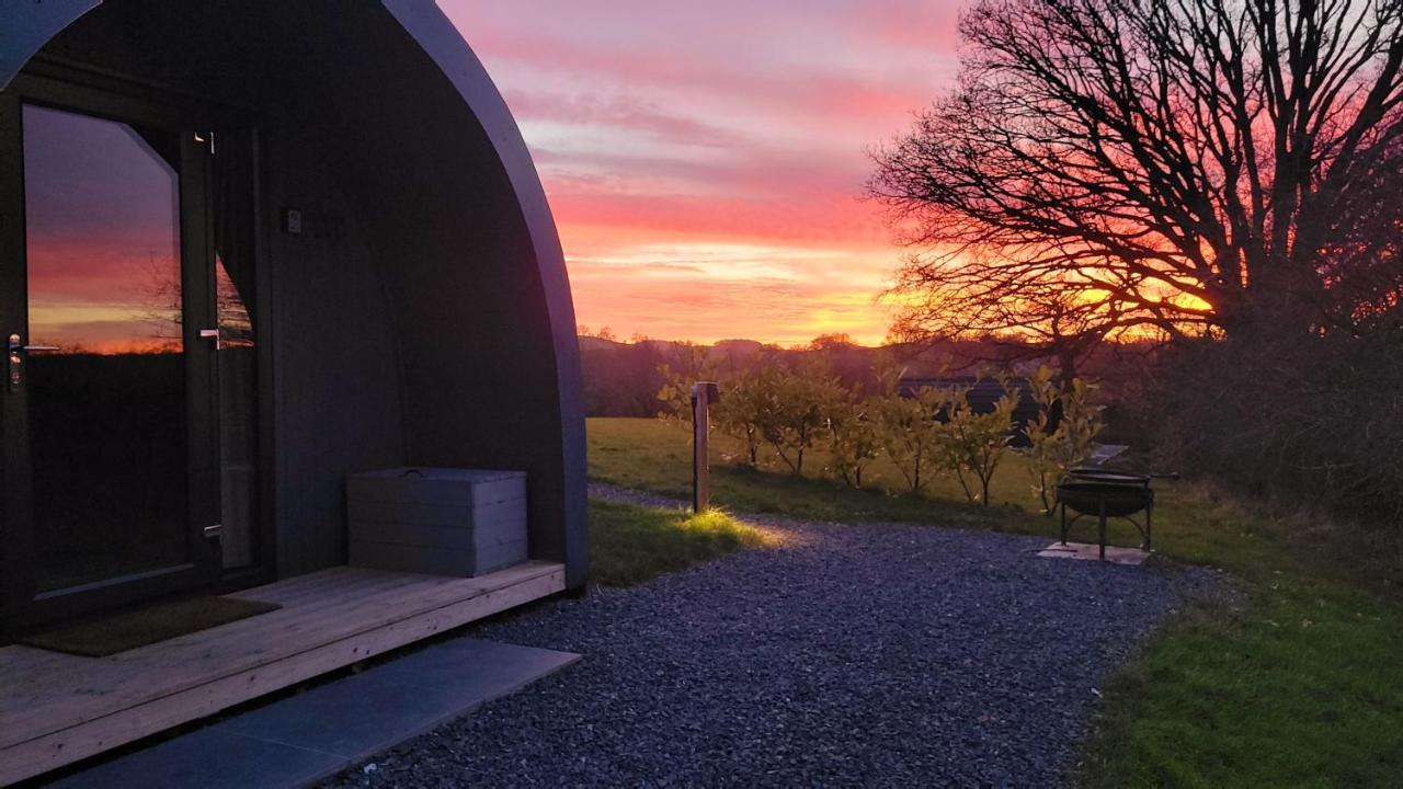 Villa Odli Glamping - Luxury Glamping Pod Welshpool Esterno foto